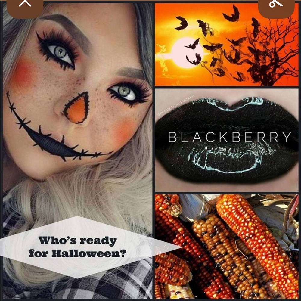 LipSense by Sengence. Shade: BlackBerry. NWT.